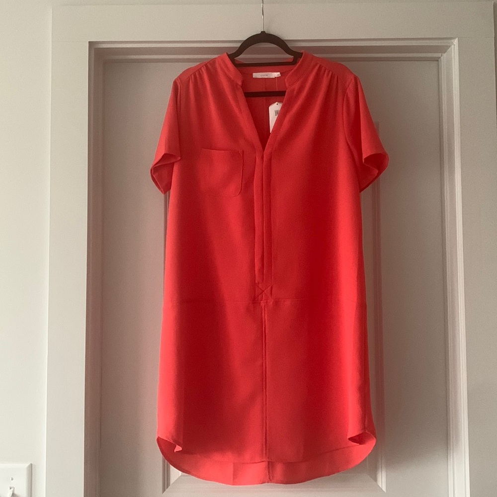 Lush Shift Dress